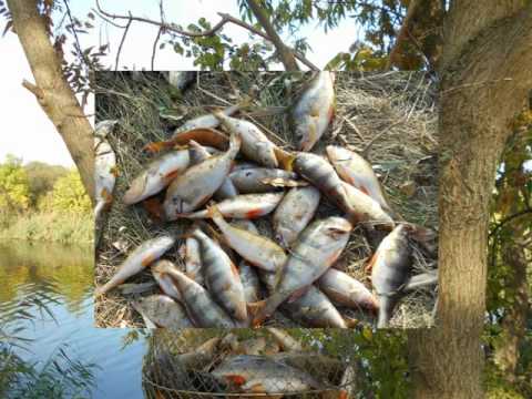 ловля казенный торец ловля казенный торец