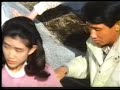 紺野美沙子「ふしぎの国日本」パンチラ全開