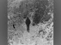 nocturnal depression   host