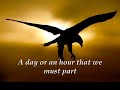Journeys of Love & Friendship