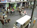 caballos pasan por mi balcon