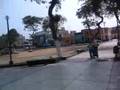 LINCE CASA RISSO I