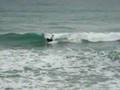 bodyboarding sanremo small