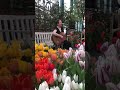 Ирина Нахумова Песни под гитару, романсы, бардовские песни