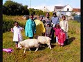 Paddington Farm Trust Glastonbury - The Movie!