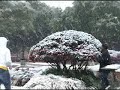 USM Snow Day Video12-11-2008 as seen on Weather Channel USM Snow Day Video12-11-2008 as seen on Weather Channel