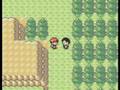 Pokemon Silver/Gold/Crystal - Route 33