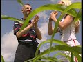?eljko Mavrovic - Eko Mavrovi? - RTL Reportaza - Part 2 ?eljko Mavrovic - Eko Mavrovi? - RTL Reportaza - Part 2
