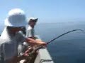Baja Fishing: San Quintin