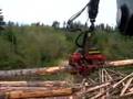 Logging