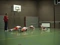 Picker Reds Basketbal Eibergen U14 2007