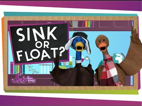Unit 15-Sink or Float Thumbnail