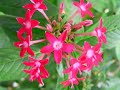Significado das cores - VERMELHO