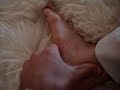 Reflexology Knee and Hip Pain Relief