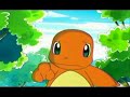 PMD Tribute- Team GoGetters and Team PokePals-Dragonfly PMD Tribute- Team GoGetters and Team PokePals-Dragonfly