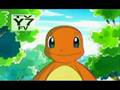 PMD Tribute- Team GoGetters and Team PokePals-Dragonfly