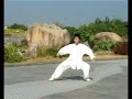 Taiji Chen Style 56 form ????56? Taiji Chen Style 56 form ????56?