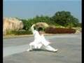 Taiji Chen Style 56 form 陳氏太極56式
