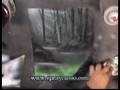 Spraycasso's El Bosque ADVANCED