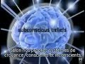 Notre Réalité N est Qu une Illusion