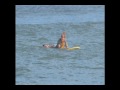 Surfing at Belmar, NJ