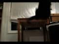 videos de maniac rough cut