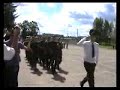 Russian Army Basic Training Graduation Parade Summer 2007 Russian Army Basic Training Graduation Parade Summer 2007