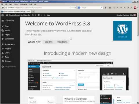 how to update wordpress