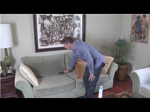 how to control pet dander