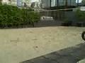501 Pacific Street, Yaletown Beach Volleyball Court & Garden
