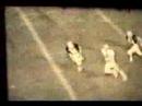 1980 Mike Roback Belpre 1980 Mike Roback Belpre