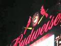 Stl. Cardinals Games 2008