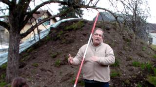 #298 Schneiden im Garten 2011 - Apfelhochstamm 1v6