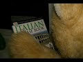 A Bears Tale