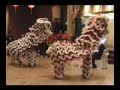 Lion Dance Wedding Performance