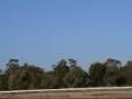 3D RC Helicopter Flying by Nicko B