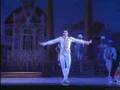 ballet sleeping beauty variation- Ogulcan Borova