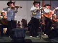 huapango la azucena bella