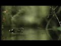 n�hled 2