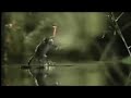 n�hled 3