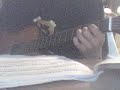 Niilo guitar