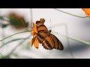 Camera Raw 5.0 - Photoshop CS4 Sneak Peek