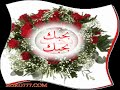 tamer hosny's song erga3ly