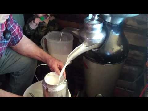 how to collect cream from raw milk