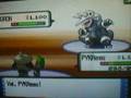 Torchic6 Vs Edoardo