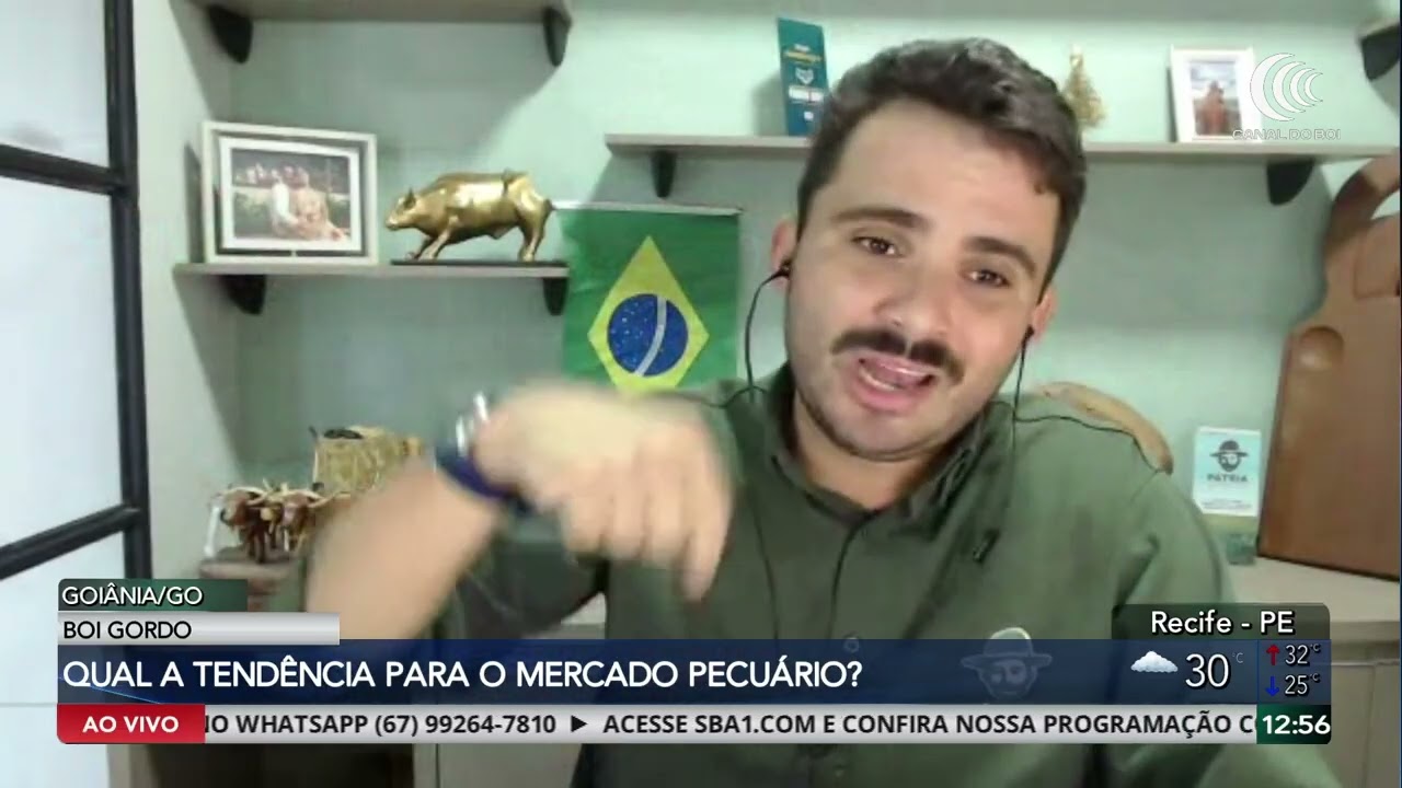 Custos da guerra impactam logística e mercado de boi gordo firme