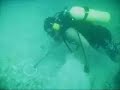 treasure diving on a Spanish galleon shipwreck