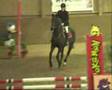 concours cominboeuf 2007