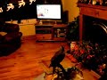 Mclewis 15yr old Goshawk Mclewis 15yr old Goshawk