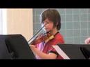 Fiddle Group Fiddle Group
